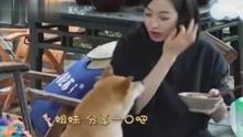 吃瓜娱乐八卦的视频,揭秘明星幕后故事，吃瓜群众必看！